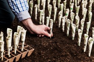 Todos los pasos para hacer una ampliación de capital en tu pyme