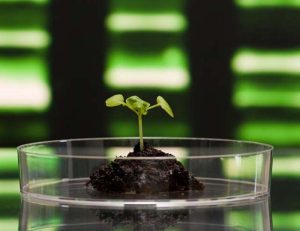 TRANSBIO