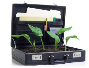Ventajas de invertir parte de tus ahorros en startups