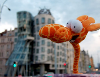 Viajes para peluches… al estilo Amelie