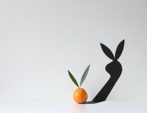 XV Concurso de Emprendedores Universitarios de Andalucía