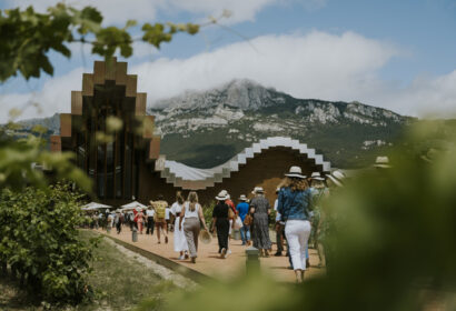 Ysios bodegas