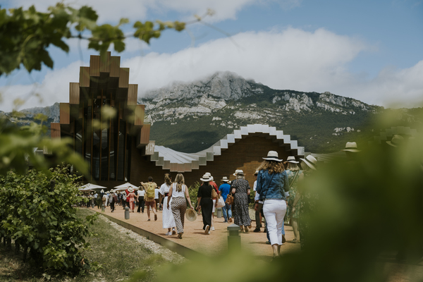 Ysios bodegas