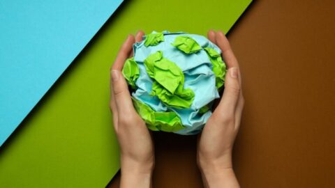 ¿Qué es el greenwashing y cómo detectarlo en una empresa?